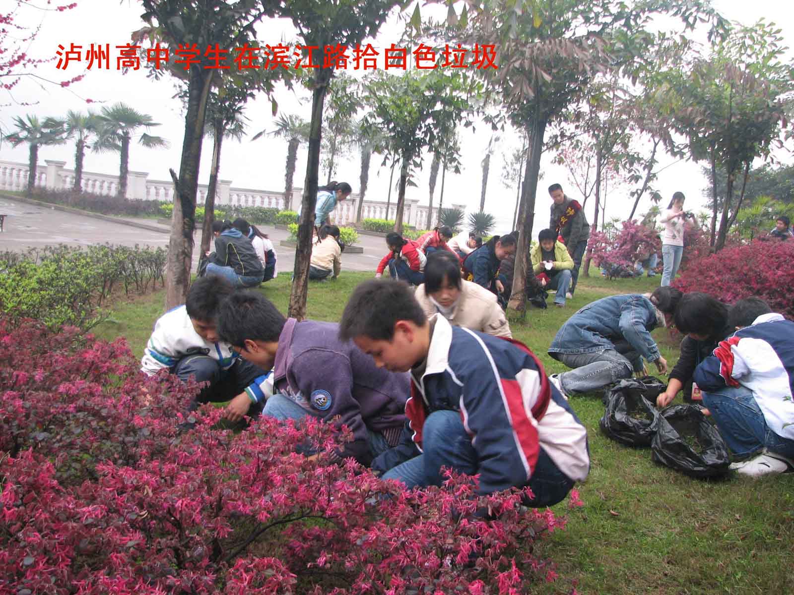 點擊查看原圖
